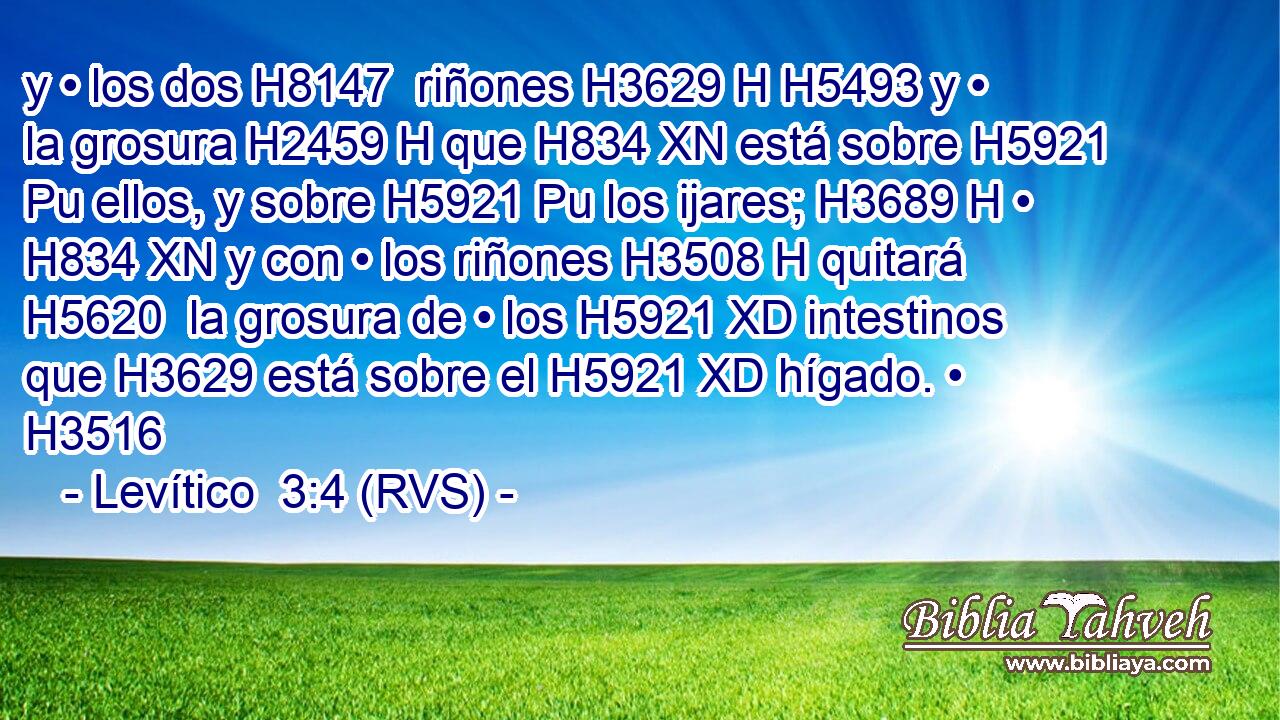 y • los dos H8147  riñones H3629 H H5493 y • la grosura H2459 H que H834 XN está sobre H5921 Pu ellos, y sobre H5921 Pu los ijares; H3689 H • H834 XN y con • los riñones H3508 H quitará H5620  la grosura de • los H5921 XD intestinos que H3629 está sobre el H5921 XD hígado. • H3516  