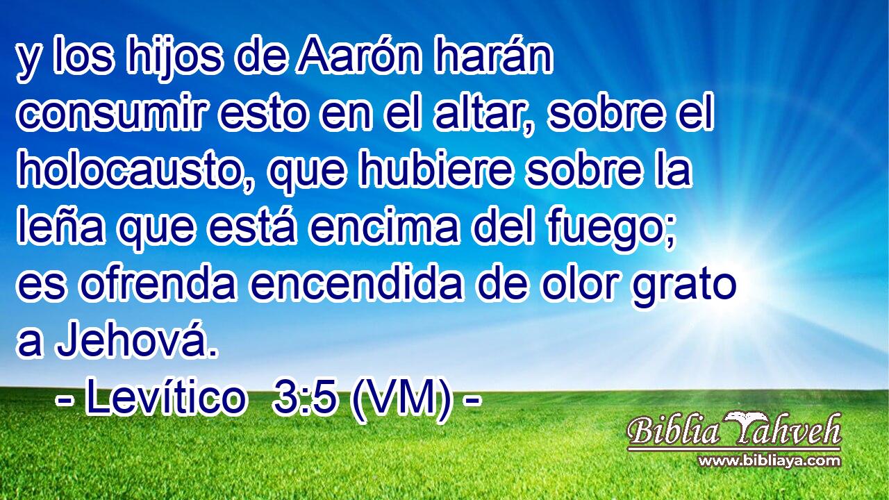  y los hijos de Aarón harán consumir esto en el altar, sobre el holocausto, que hubiere sobre la leña que está encima del fuego; es ofrenda encendida de olor grato a Jehová. 