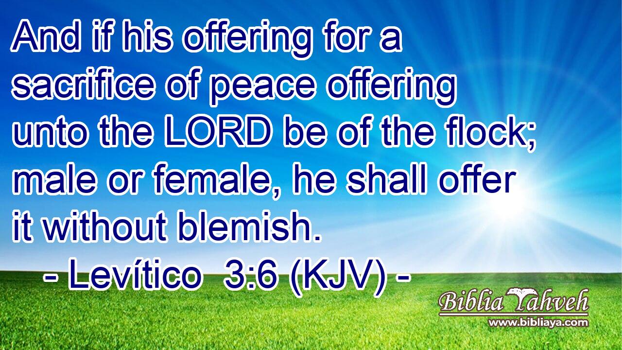 And if his offering for a sacrifice of peace offering unto the LORD be of the flock; male or female, he shall offer it without blemish.