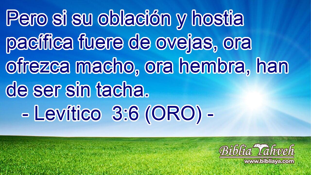  Pero si su oblación y hostia pacífica fuere de ovejas, ora ofrezca macho, ora hembra, han de ser sin tacha. 