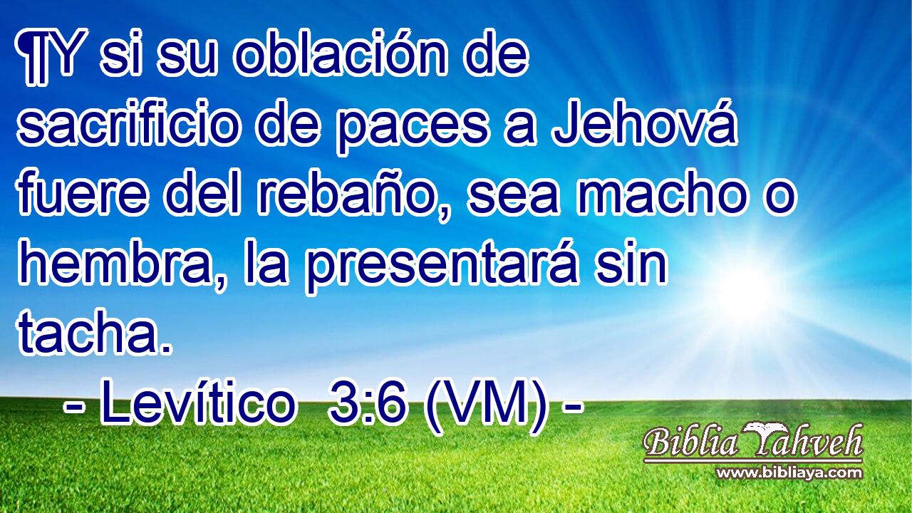  ¶Y si su oblación de sacrificio de paces a Jehová fuere del rebaño, sea macho o hembra, la presentará sin tacha. 