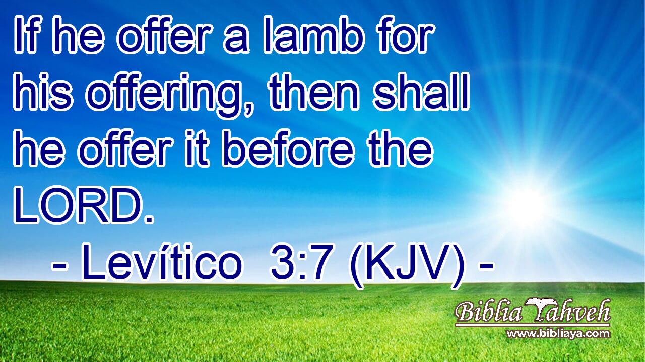 If he offer a lamb for his offering, then shall he offer it before the LORD.