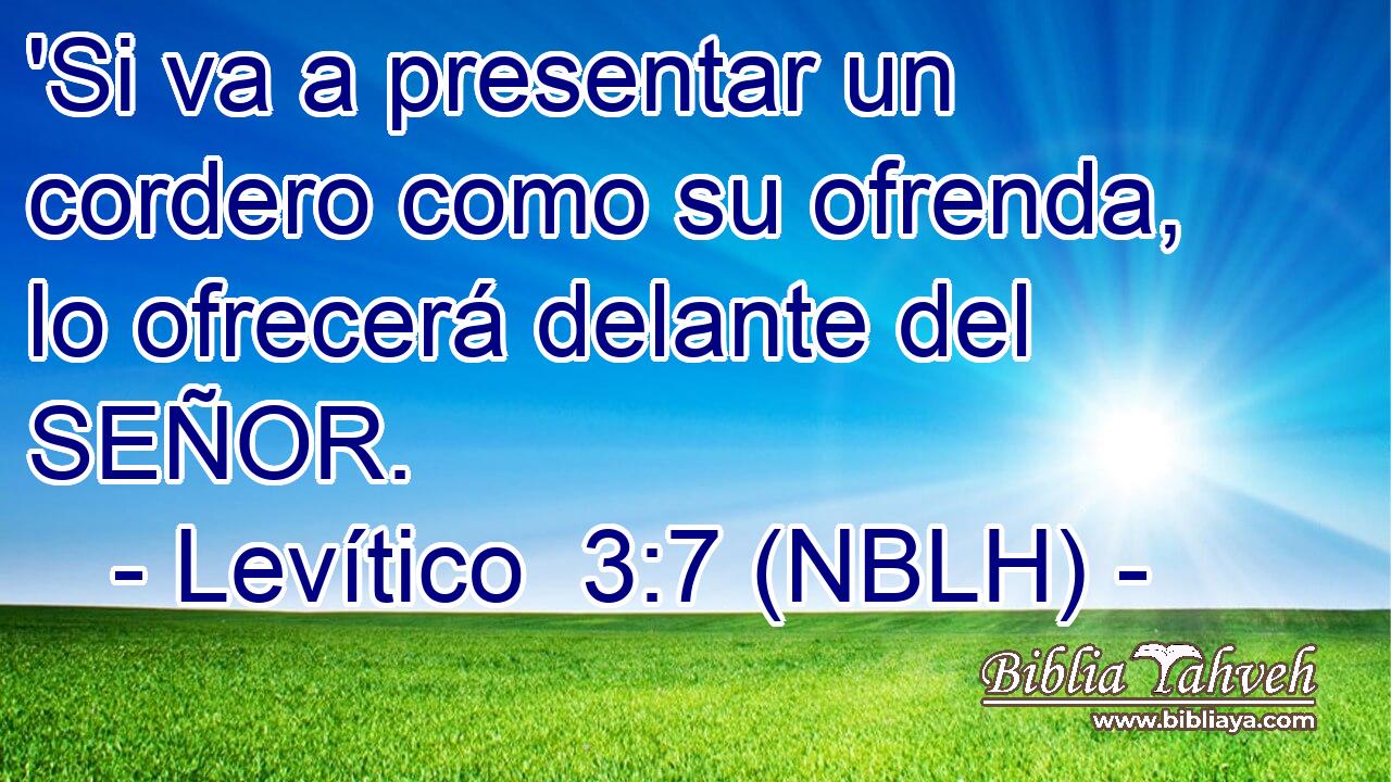  'Si va a presentar un cordero como su ofrenda, lo ofrecerá delante del SEÑOR. 