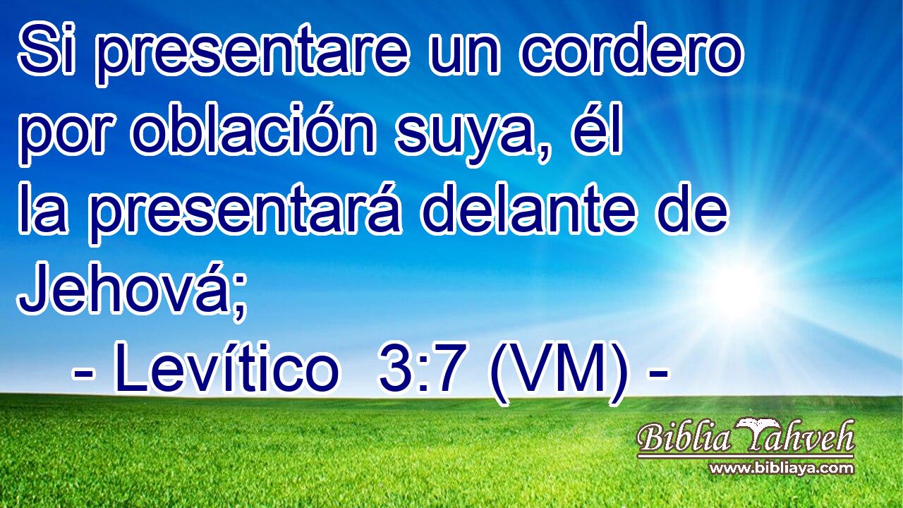  Si presentare un cordero por oblación suya, él la presentará delante de Jehová; 