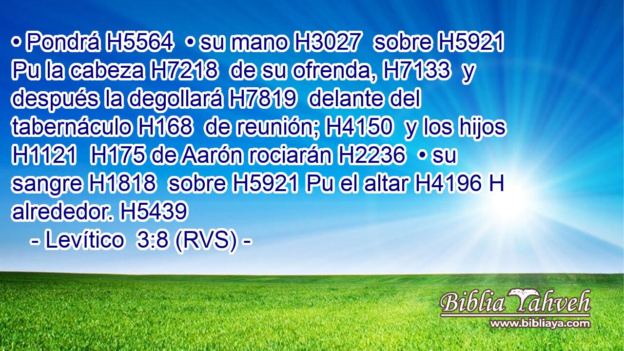 • Pondrá H5564  • su mano H3027  sobre H5921 Pu la cabeza H7218  de su ofrenda, H7133  y después la degollará H7819  delante del tabernáculo H168  de reunión; H4150  y los hijos H1121  H175 de Aarón rociarán H2236  • su sangre H1818  sobre H5921 Pu el altar H4196 H alrededor. H5439  
