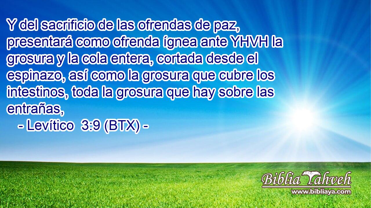 Y del sacrificio de las ofrendas de paz, presentará como ofrenda ígnea ante YHVH la grosura y la cola entera, cortada desde el espinazo, así como la grosura que cubre los intestinos, toda la grosura que hay sobre las entrañas,