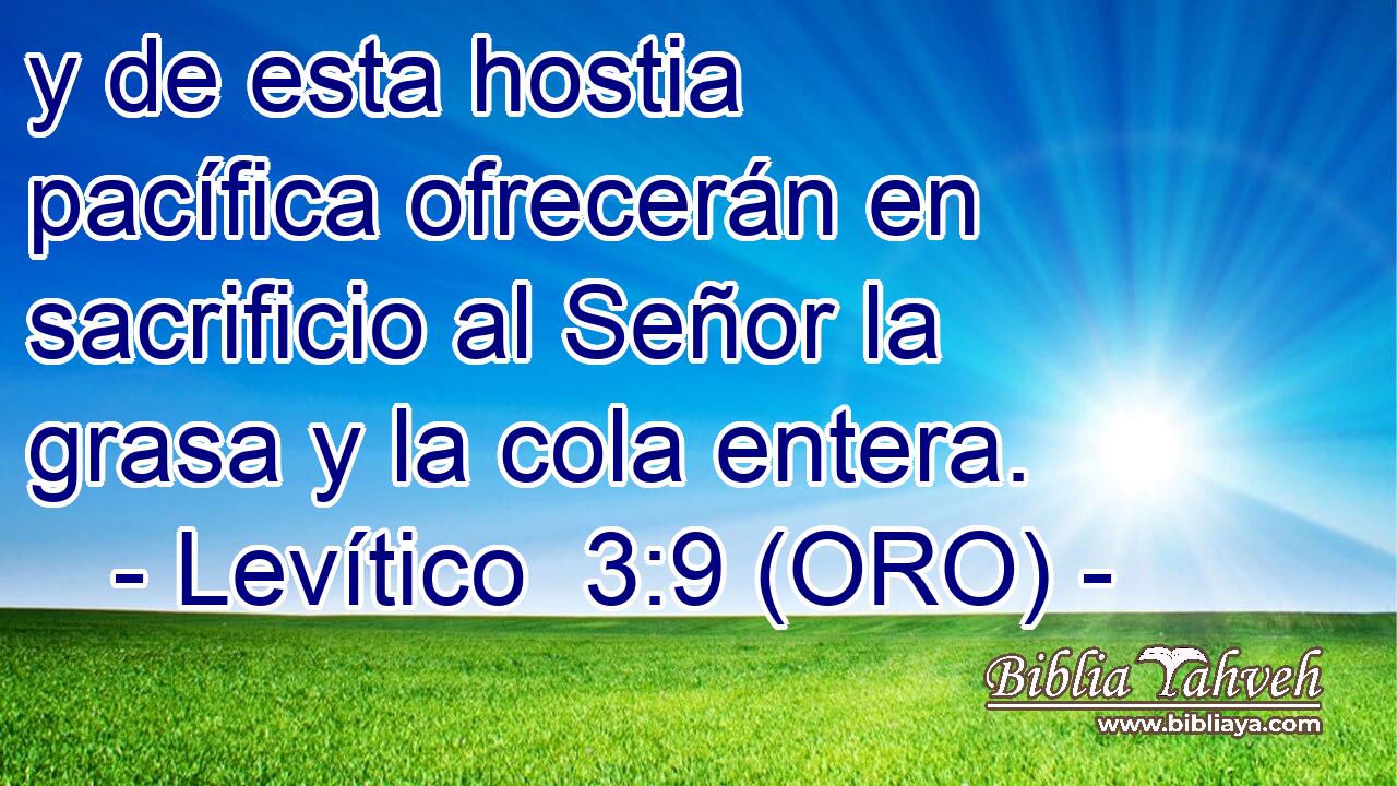  y de esta hostia pacífica ofrecerán en sacrificio al Señor la grasa y la cola entera. 