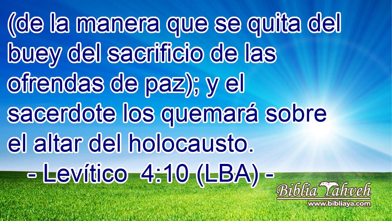 (de la manera que se quita del buey del sacrificio de las ofrendas de paz); y el sacerdote los quemará sobre el altar del holocausto.