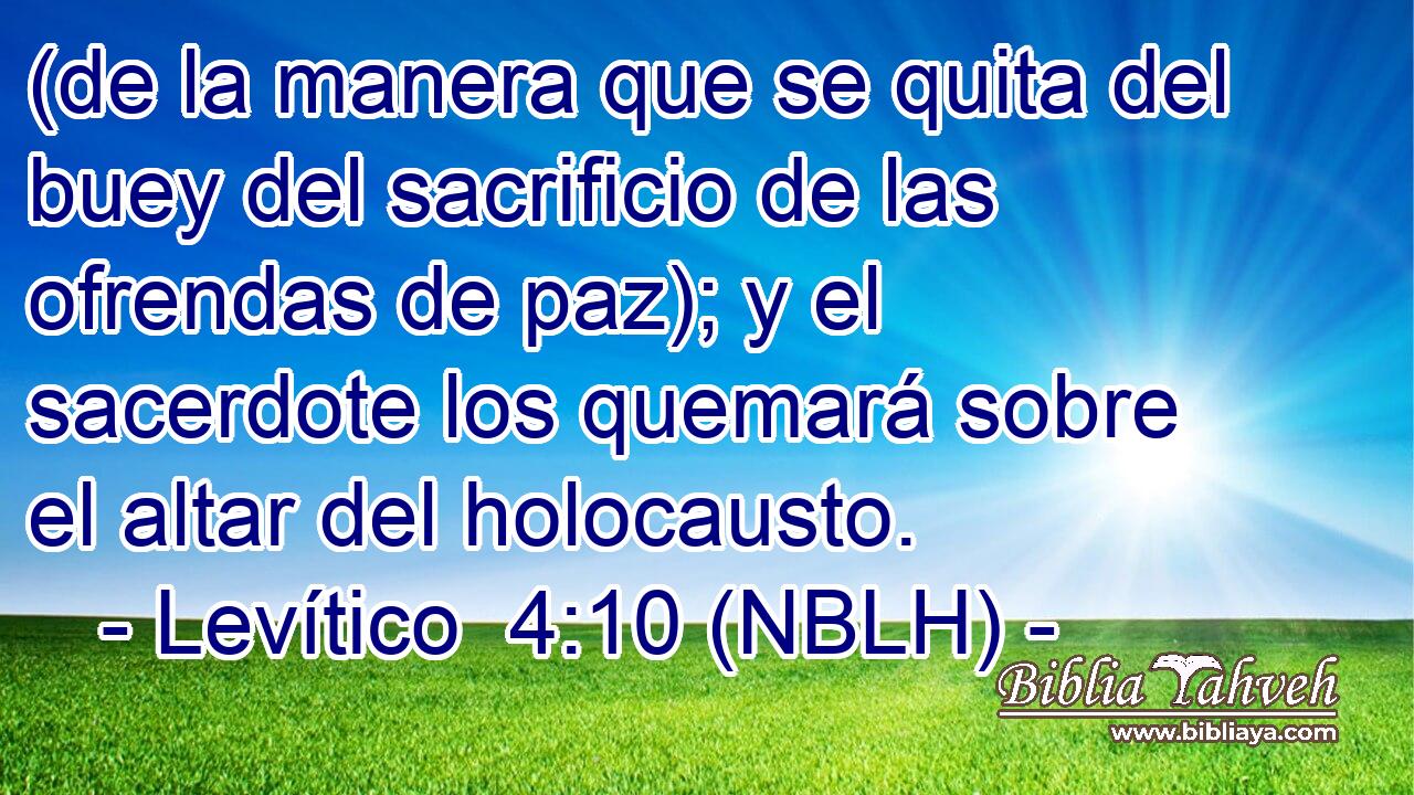  (de la manera que se quita del buey del sacrificio de las ofrendas de paz); y el sacerdote los quemará sobre el altar del holocausto. 
