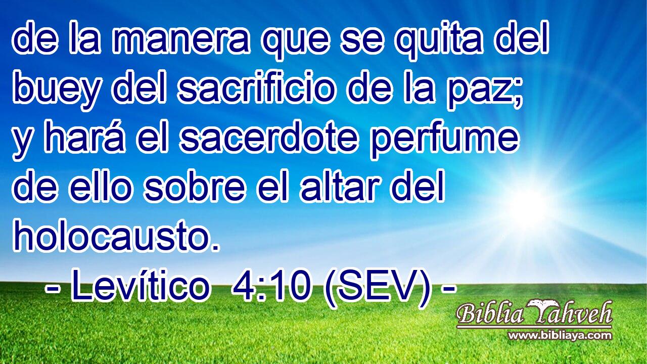 de la manera que se quita del buey del sacrificio de la paz; y hará el sacerdote perfume de ello sobre el altar del holocausto.