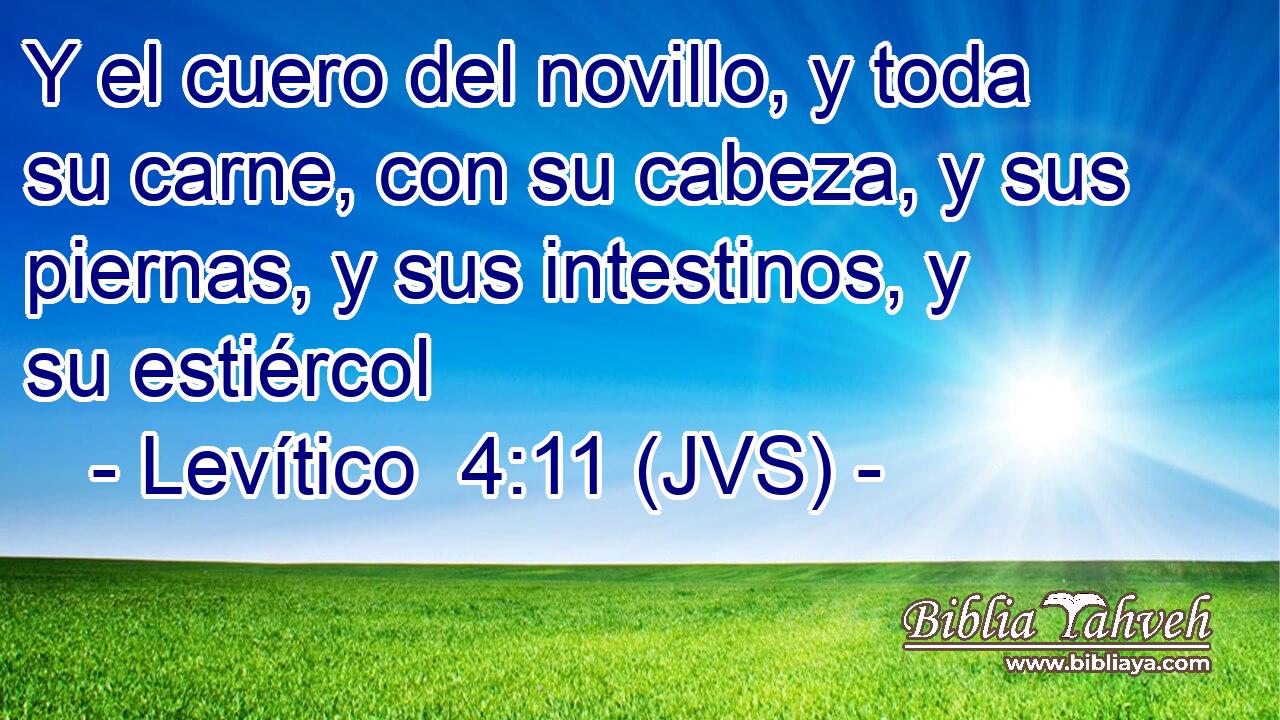 Y el cuero del novillo, y toda su carne, con su cabeza, y sus piernas, y sus intestinos, y su estiércol
