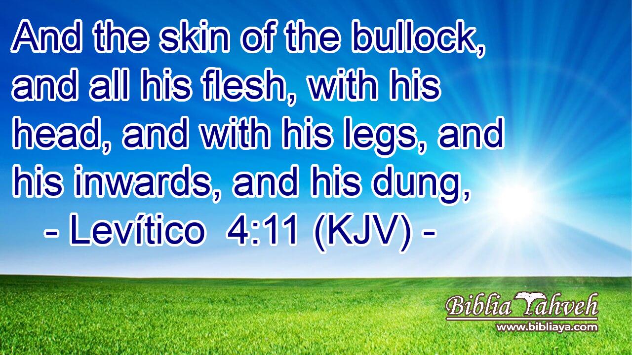And the skin of the bullock, and all his flesh, with his head, and with his legs, and his inwards, and his dung,