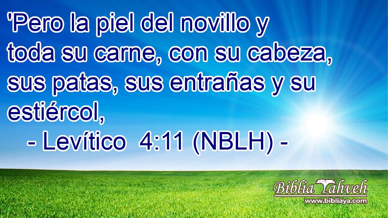  'Pero la piel del novillo y toda su carne, con su cabeza, sus patas, sus entrañas y su estiércol, 
