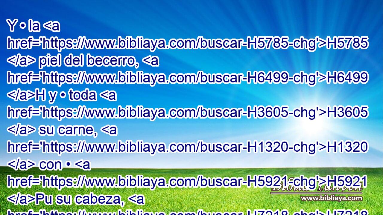 Y • la H5785  piel del becerro, H6499 H y • toda H3605  su carne, H1320  con • H5921 Pu su cabeza, H7218  • • H5921 Pu sus piernas, H3767  • sus intestinos H7130  y su estiércol, H6569  