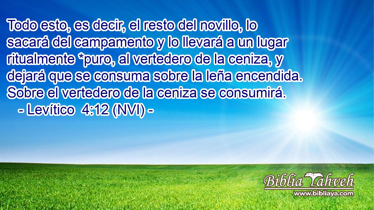  Todo esto, es decir, el resto del novillo, lo sacará del campamento y lo llevará a un lugar ritualmente *puro, al vertedero de la ceniza, y dejará que se consuma sobre la leña encendida. Sobre el vertedero de la ceniza se consumirá. 
