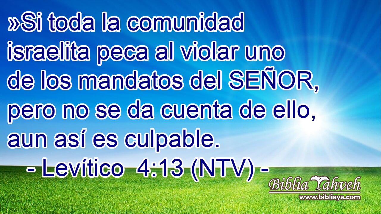 »Si toda la comunidad israelita peca al violar uno de los mandatos del SEÑOR, pero no se da cuenta de ello, aun así es culpable.