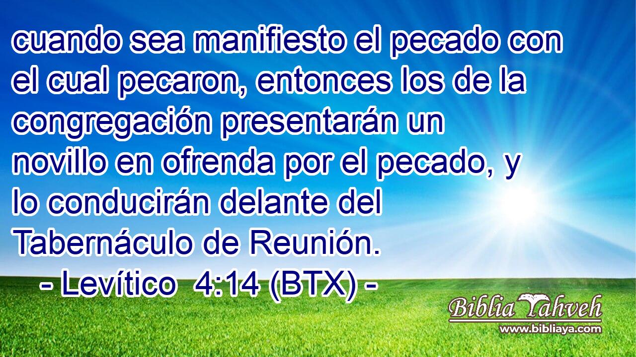 cuando sea manifiesto el pecado con el cual pecaron, entonces los de la congregación presentarán un novillo en ofrenda por el pecado, y lo conducirán delante del Tabernáculo de Reunión.