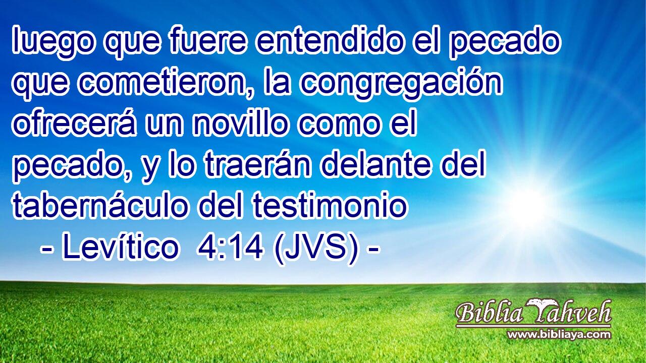luego que fuere entendido el pecado que cometieron, la congregación ofrecerá un novillo como el pecado, y lo traerán delante del tabernáculo del testimonio
