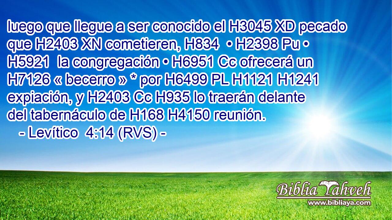 luego que llegue a ser conocido el H3045 XD pecado que H2403 XN cometieren, H834  • H2398 Pu • H5921  la congregación • H6951 Cc ofrecerá un H7126 « becerro » * por H6499 PL H1121 H1241 expiación, y H2403 Cc H935 lo traerán delante del tabernáculo de H168 H4150 reunión. 