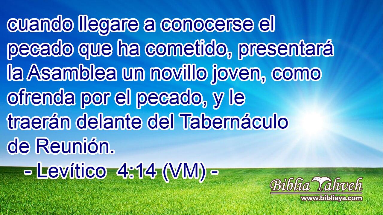  cuando llegare a conocerse el pecado que ha cometido, presentará la Asamblea un novillo joven, como ofrenda por el pecado, y le traerán delante del Tabernáculo de Reunión. 