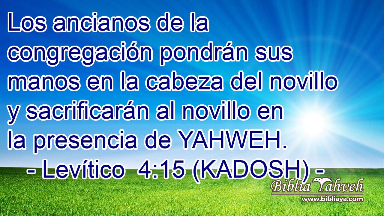  Los ancianos de la congregación pondrán sus manos en la cabeza del novillo y sacrificarán al novillo en la presencia de YAHWEH. 