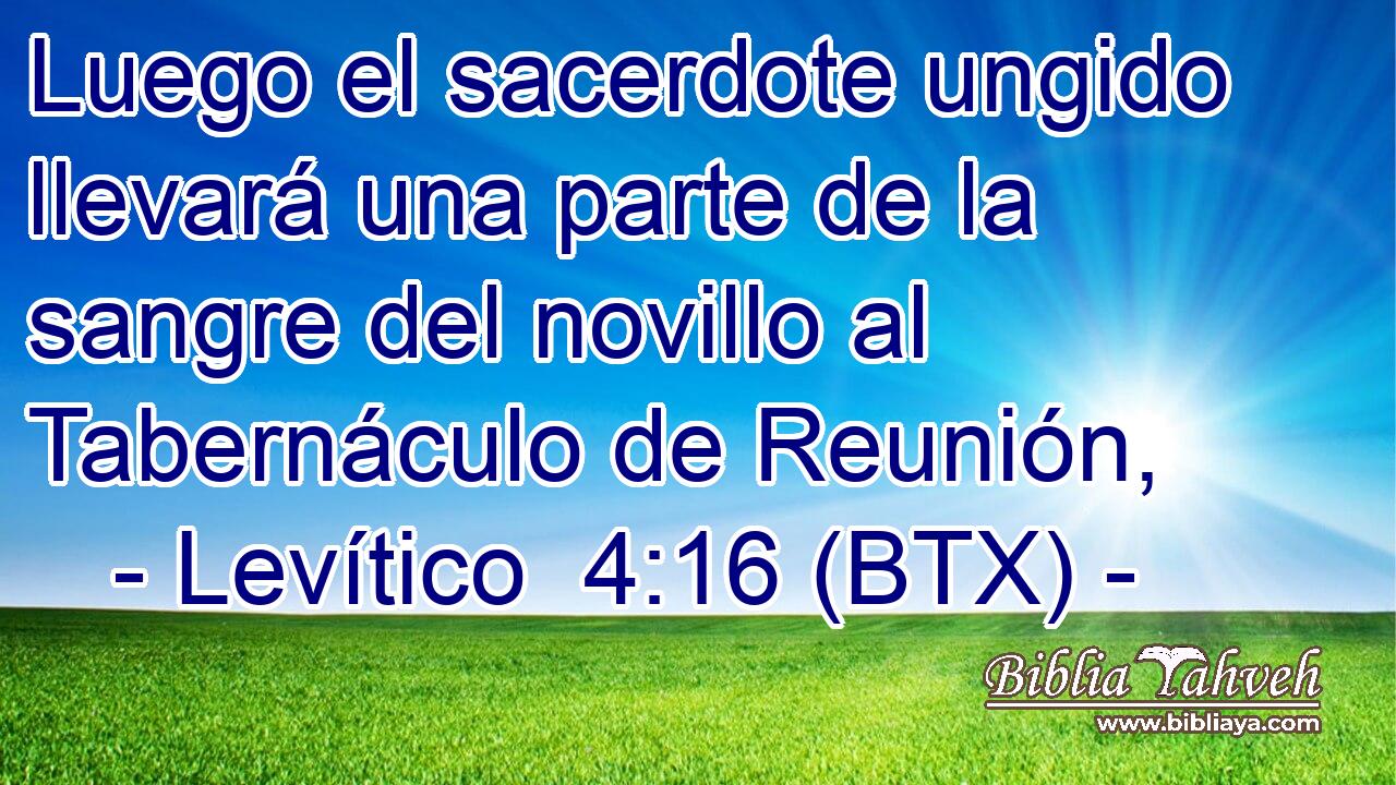 Luego el sacerdote ungido llevará una parte de la sangre del novillo al Tabernáculo de Reunión,