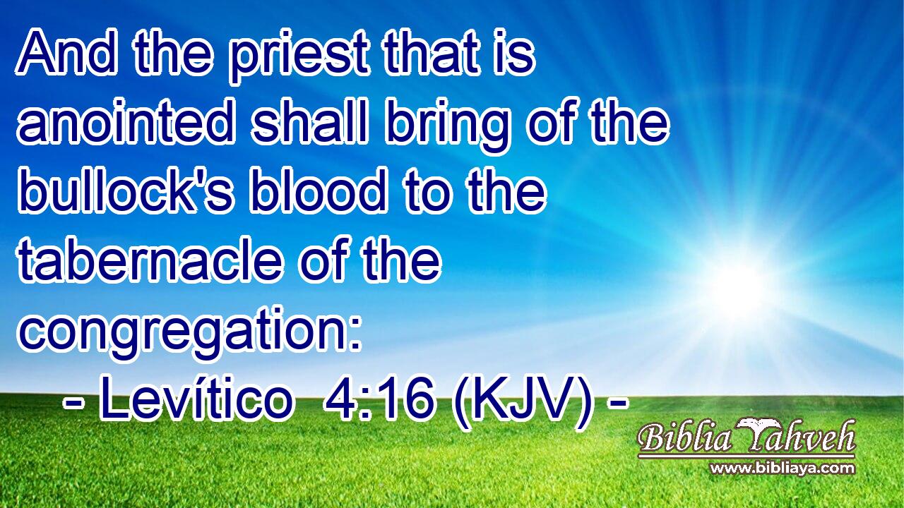 And the priest that is anointed shall bring of the bullock's blood to the tabernacle of the congregation:
