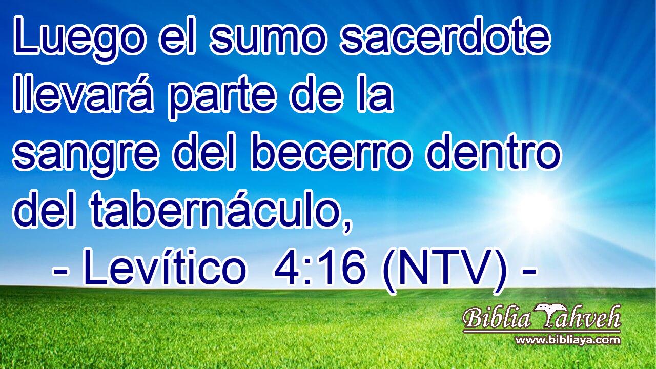 Luego el sumo sacerdote llevará parte de la sangre del becerro dentro del tabernáculo,