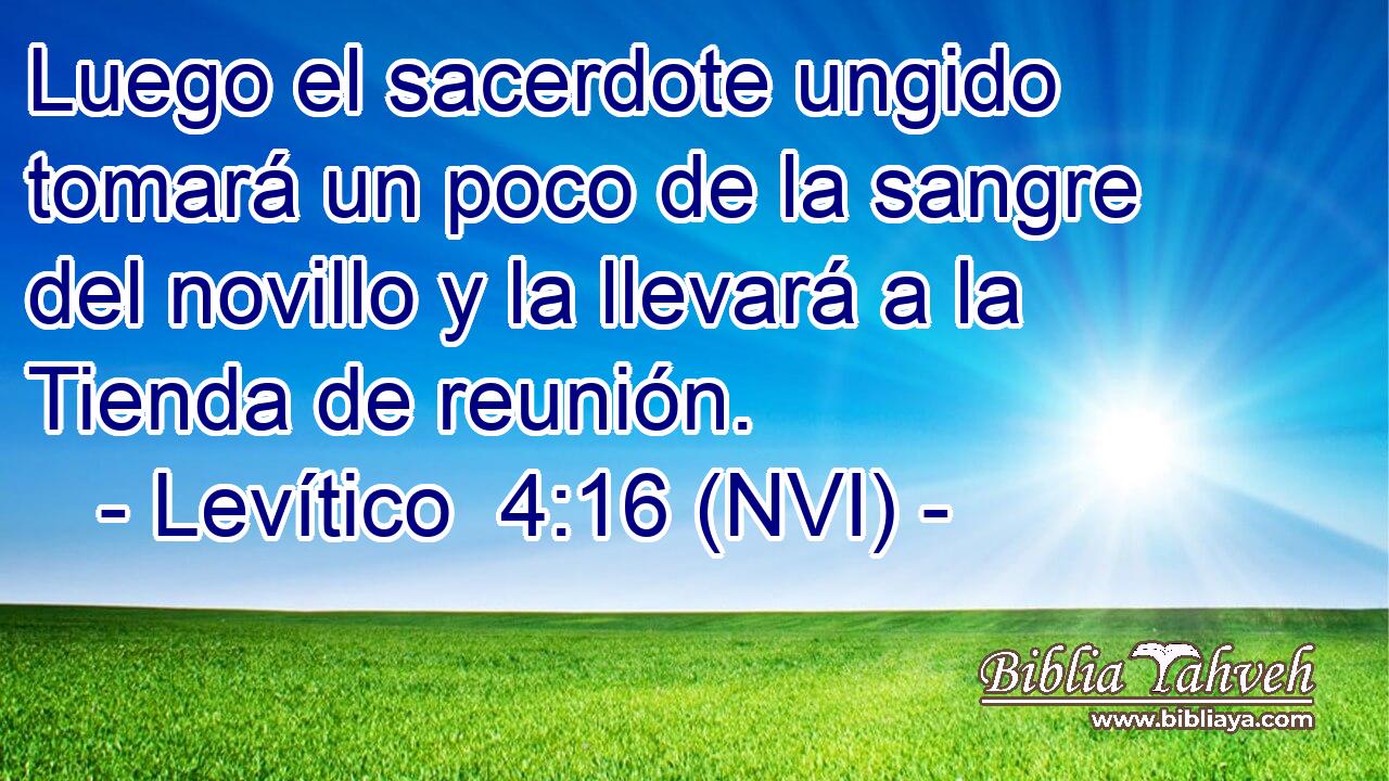  Luego el sacerdote ungido tomará un poco de la sangre del novillo y la llevará a la Tienda de reunión. 