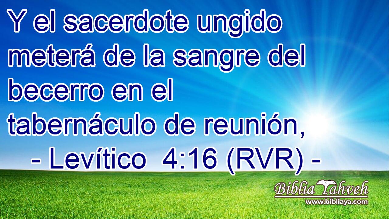Y el sacerdote ungido meterá de la sangre del becerro en el tabernáculo de reunión,