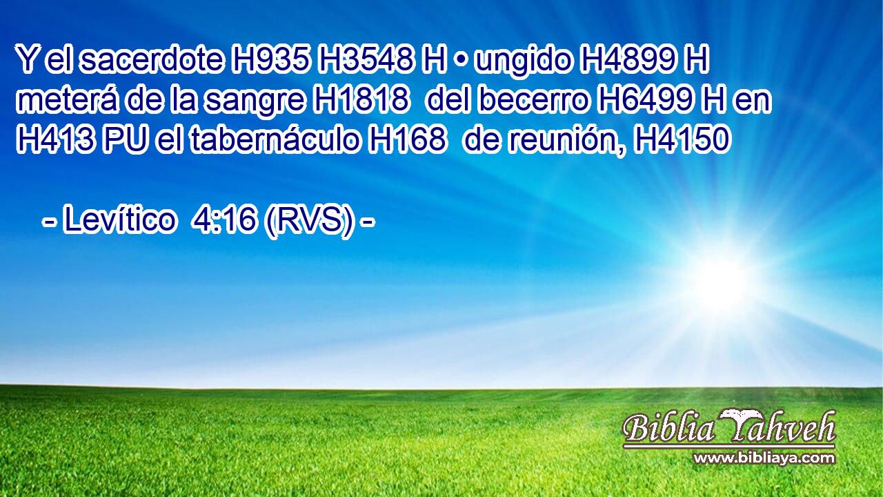 Y el sacerdote H935 H3548 H • ungido H4899 H meterá de la sangre H1818  del becerro H6499 H en H413 PU el tabernáculo H168  de reunión, H4150  
