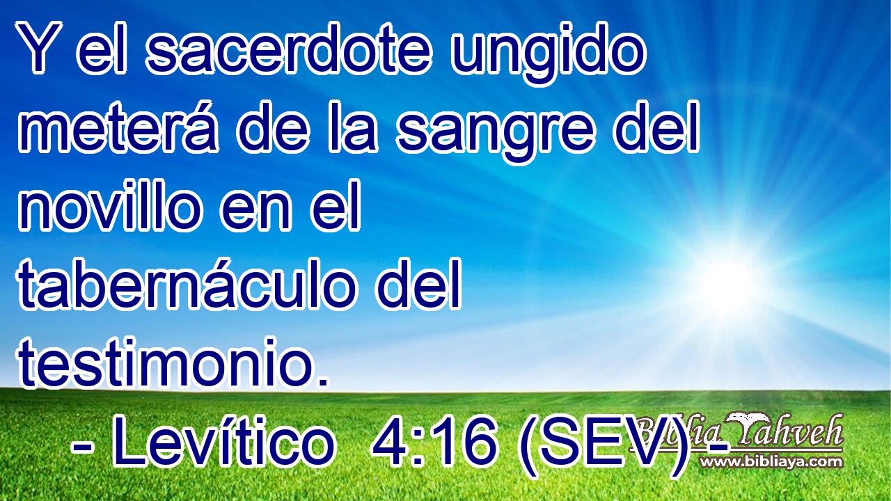 Y el sacerdote ungido meterá de la sangre del novillo en el tabernáculo del testimonio.