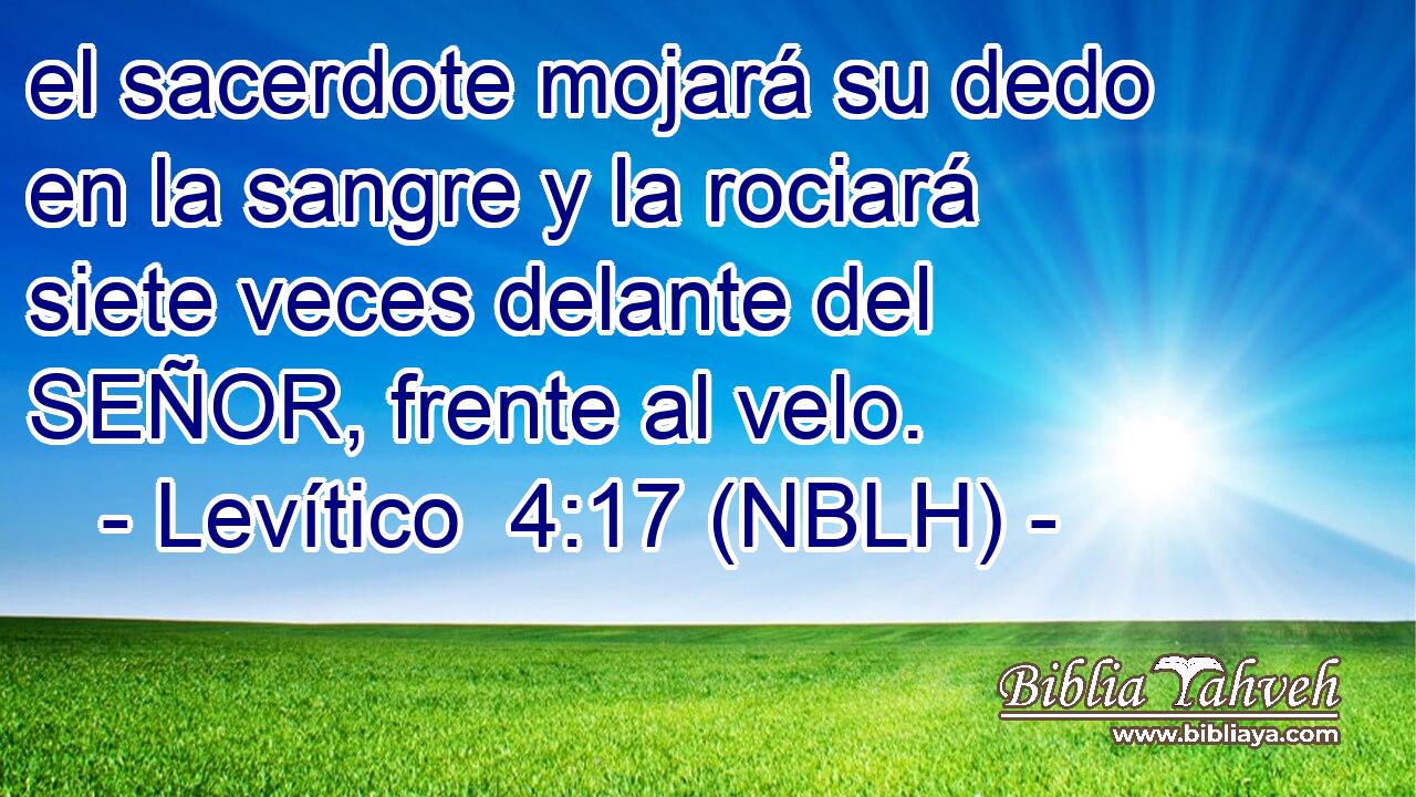  el sacerdote mojará su dedo en la sangre y la rociará siete veces delante del SEÑOR, frente al velo. 