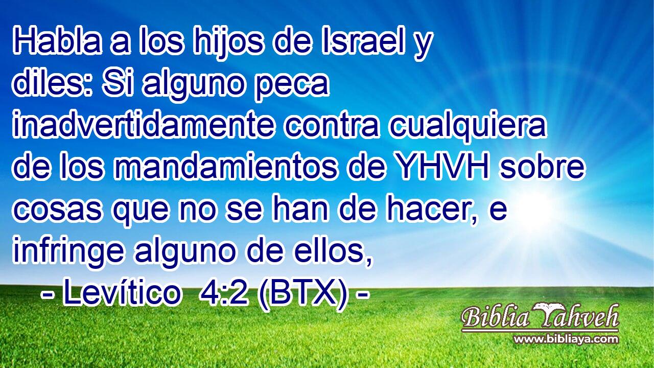 Habla a los hijos de Israel y diles: Si alguno peca inadvertidamente contra cualquiera de los mandamientos de YHVH sobre cosas que no se han de hacer, e infringe alguno de ellos,