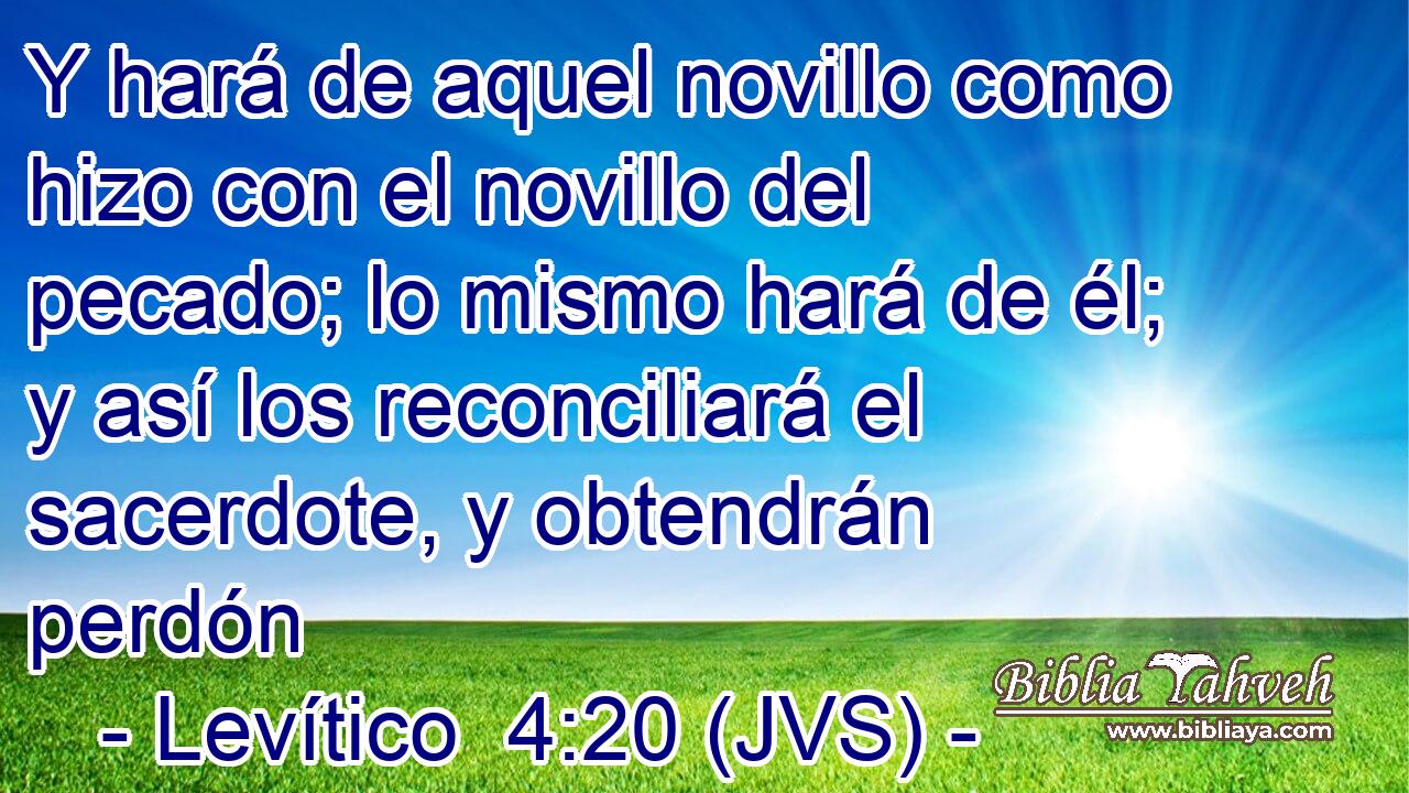 Y hará de aquel novillo como hizo con el novillo del pecado; lo mismo hará de él; y así los reconciliará el sacerdote, y obtendrán perdón