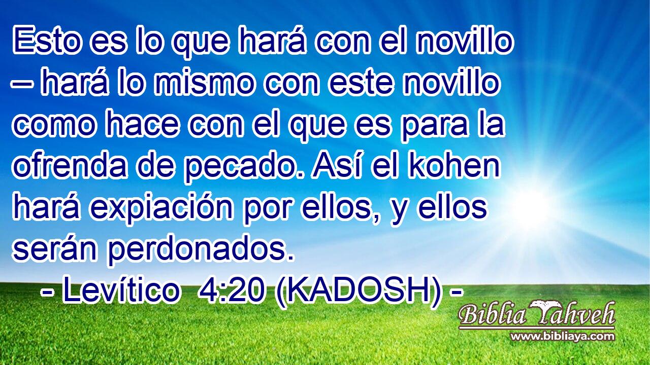  Esto es lo que hará con el novillo – hará lo mismo con este novillo como hace con el que es para la ofrenda de pecado. Así el kohen hará expiación por ellos, y ellos serán perdonados. 