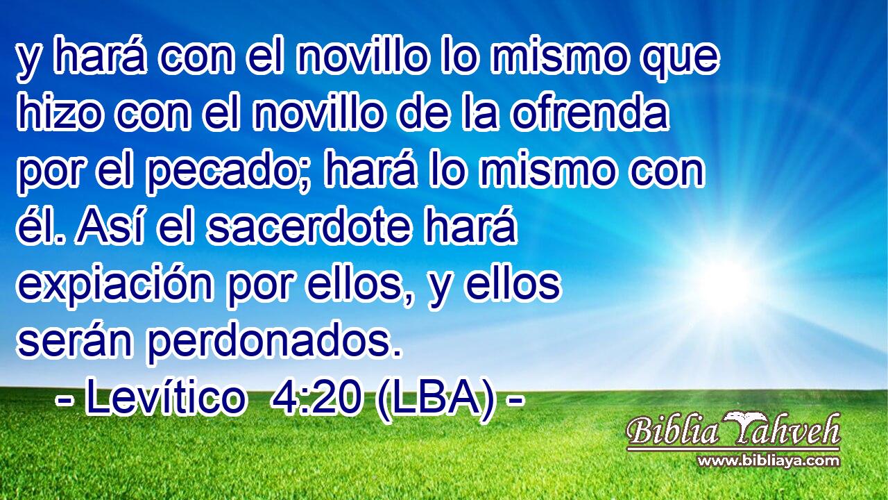 y hará con el novillo lo mismo que hizo con el novillo de la ofrenda por el pecado; hará lo mismo con él. Así el sacerdote hará expiación por ellos, y ellos serán perdonados.