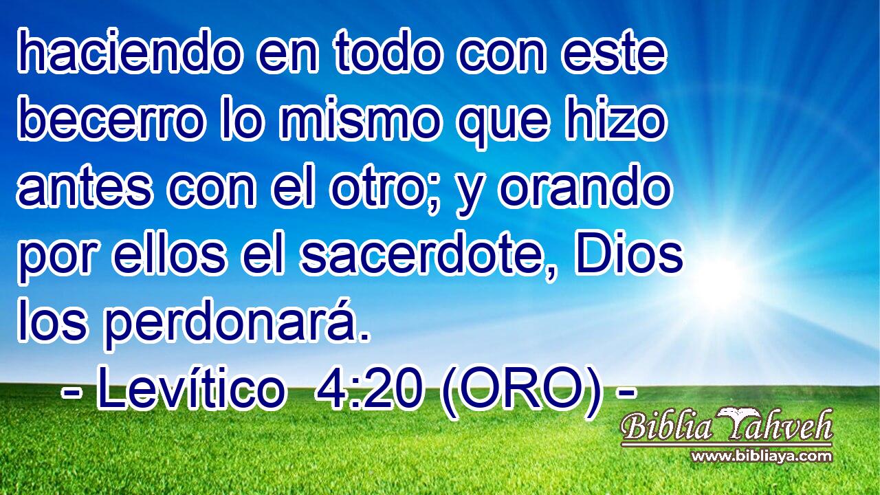  haciendo en todo con este becerro lo mismo que hizo antes con el otro; y orando por ellos el sacerdote, Dios los perdonará. 