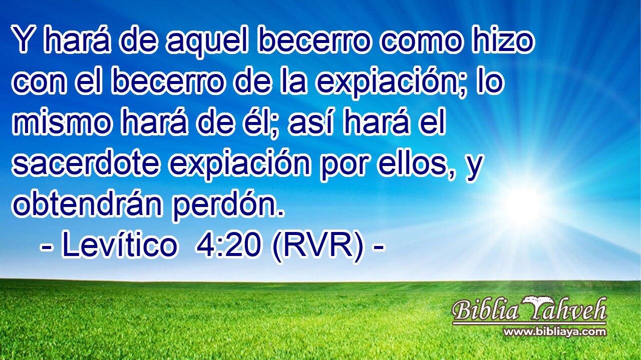 Y hará de aquel becerro como hizo con el becerro de la expiación; lo mismo hará de él; así hará el sacerdote expiación por ellos, y obtendrán perdón.