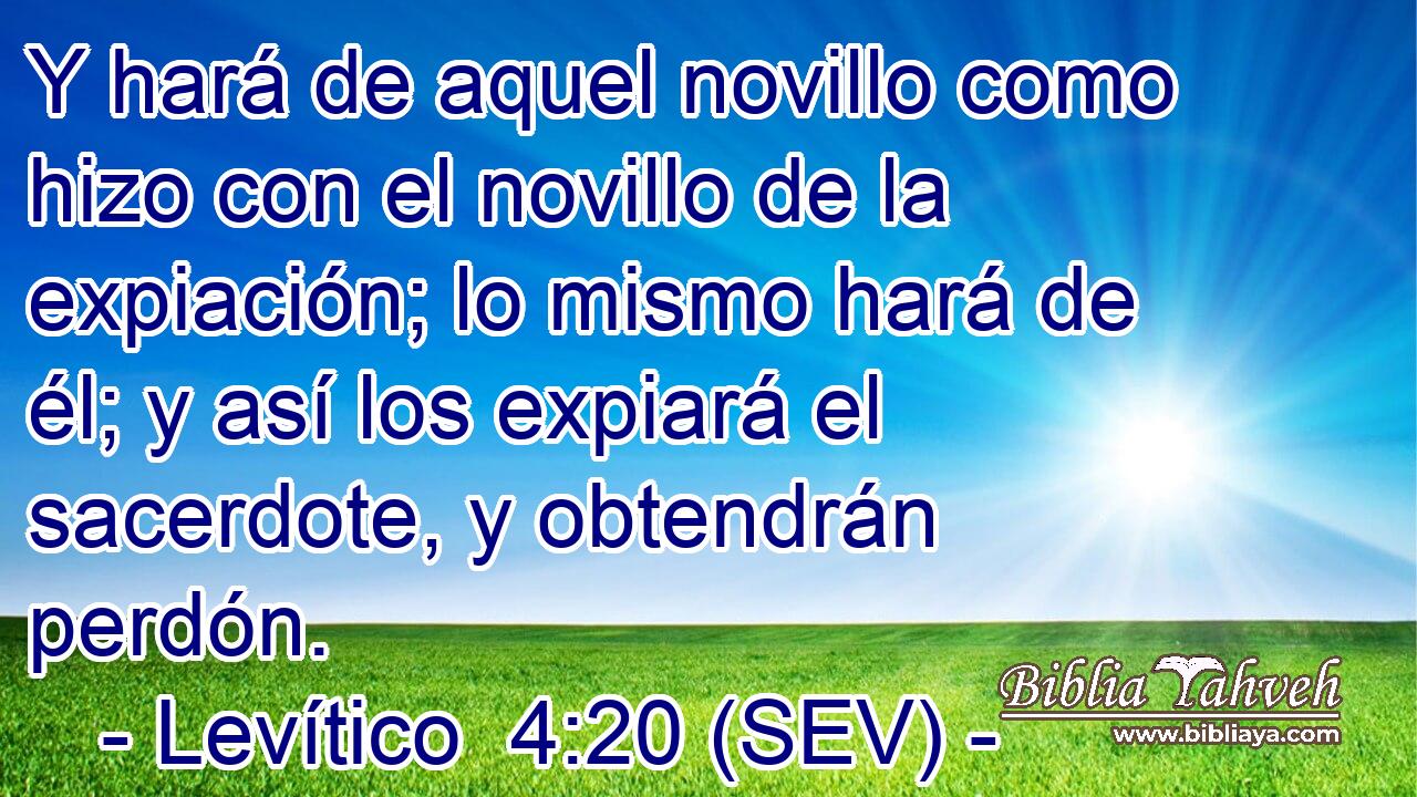 Y hará de aquel novillo como hizo con el novillo de la expiación; lo mismo hará de él; y así los expiará el sacerdote, y obtendrán perdón.