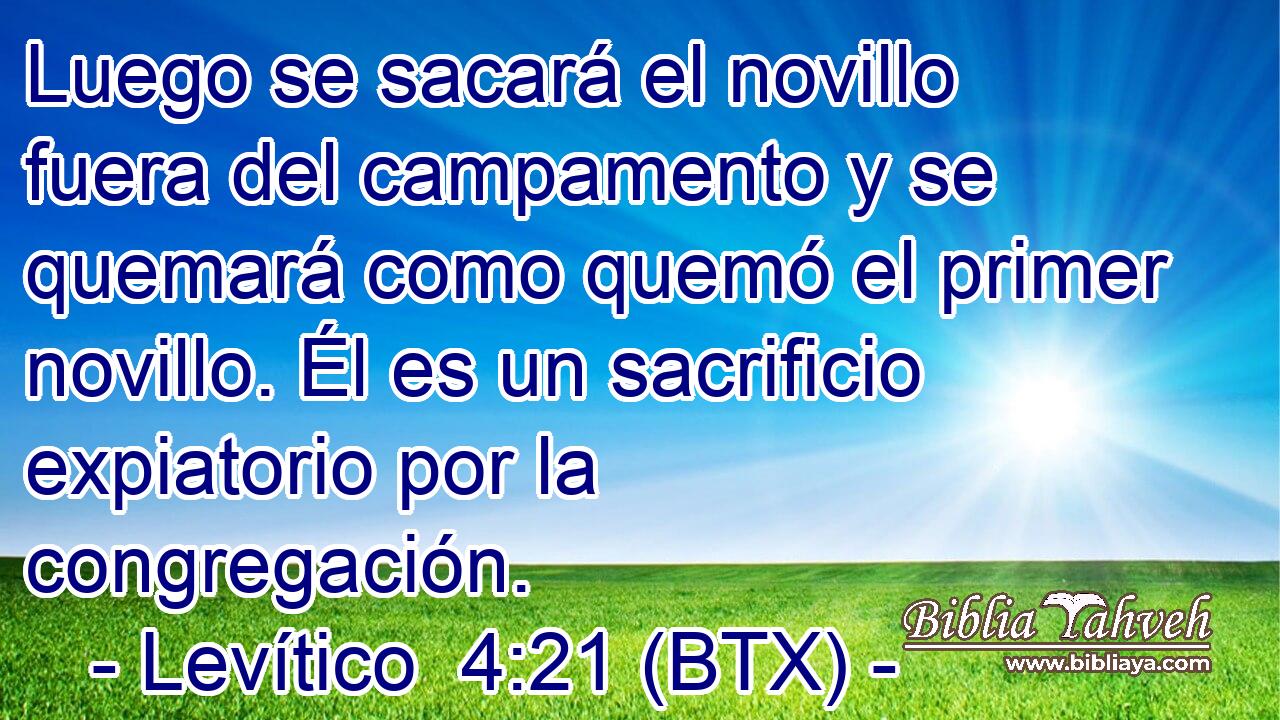 Luego se sacará el novillo fuera del campamento y se quemará como quemó el primer novillo. Él es un sacrificio expiatorio por la congregación.