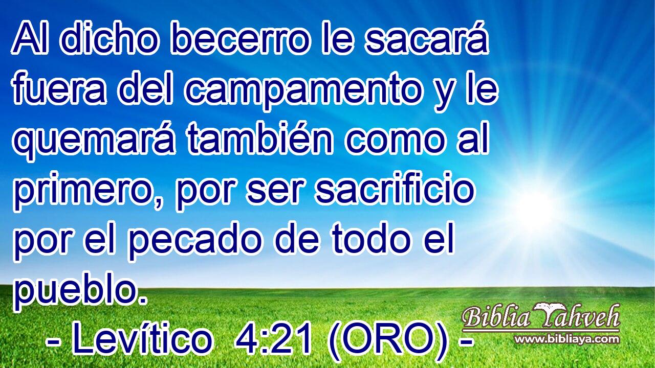  Al dicho becerro le sacará fuera del campamento y le quemará también como al primero, por ser sacrificio por el pecado de todo el pueblo. 