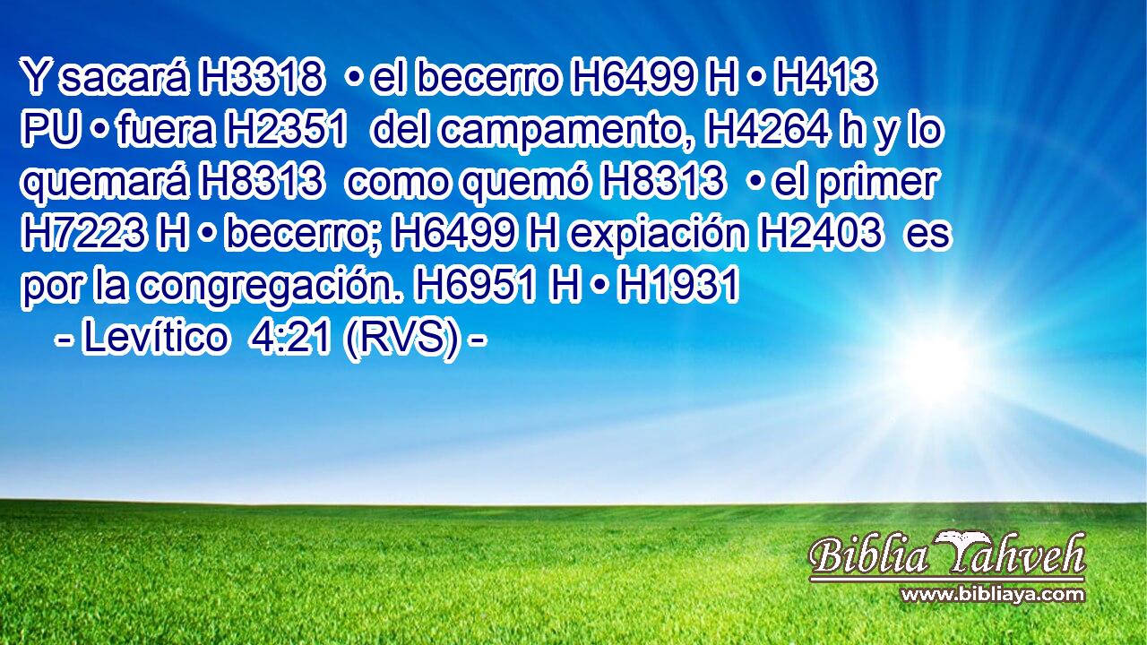 Y sacará H3318  • el becerro H6499 H • H413 PU • fuera H2351  del campamento, H4264 h y lo quemará H8313  como quemó H8313  • el primer H7223 H • becerro; H6499 H expiación H2403  es por la congregación. H6951 H • H1931  