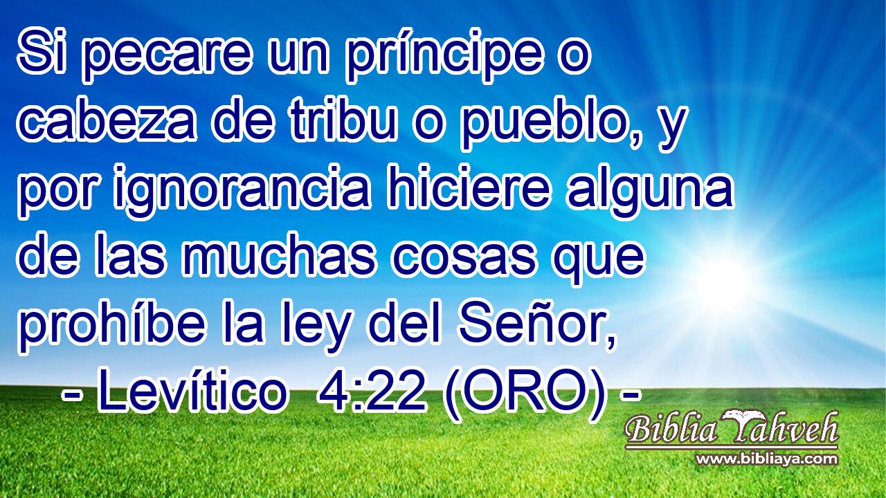  Si pecare un príncipe o cabeza de tribu o pueblo, y por ignorancia hiciere alguna de las muchas cosas que prohíbe la ley del Señor, 