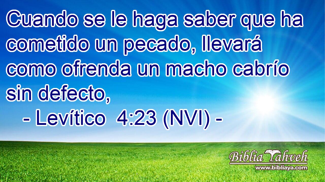  Cuando se le haga saber que ha cometido un pecado, llevará como ofrenda un macho cabrío sin defecto, 