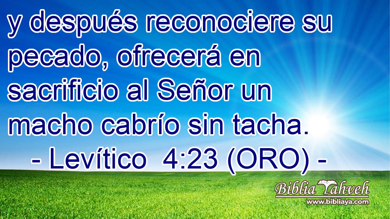  y después reconociere su pecado, ofrecerá en sacrificio al Señor un macho cabrío sin tacha. 
