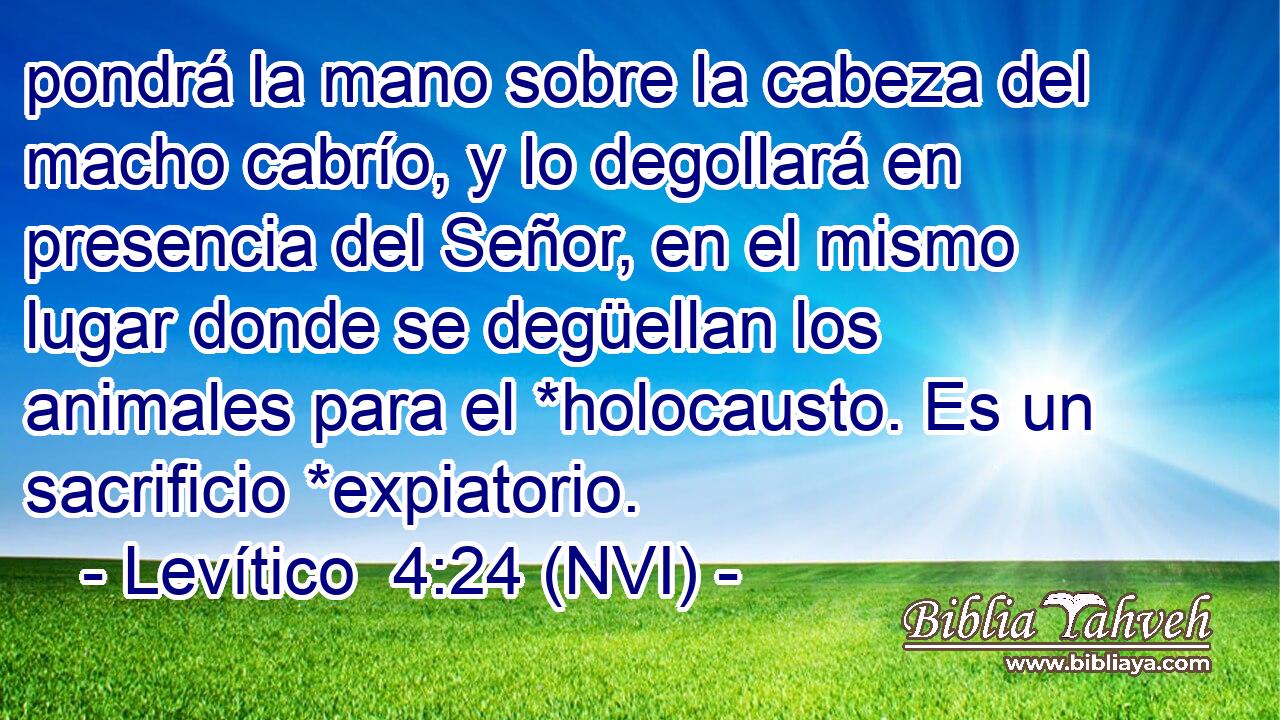  pondrá la mano sobre la cabeza del macho cabrío, y lo degollará en presencia del Señor, en el mismo lugar donde se degüellan los animales para el *holocausto. Es un sacrificio *expiatorio. 