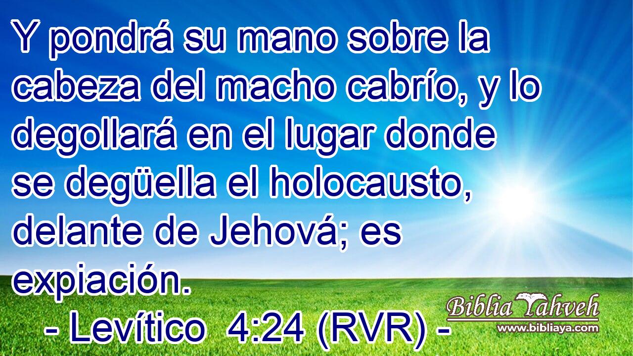 Y pondrá su mano sobre la cabeza del macho cabrío, y lo degollará en el lugar donde se degüella el holocausto, delante de Jehová; es expiación.