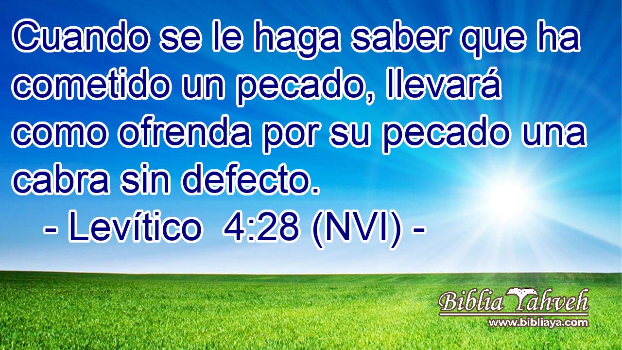  Cuando se le haga saber que ha cometido un pecado, llevará como ofrenda por su pecado una cabra sin defecto. 