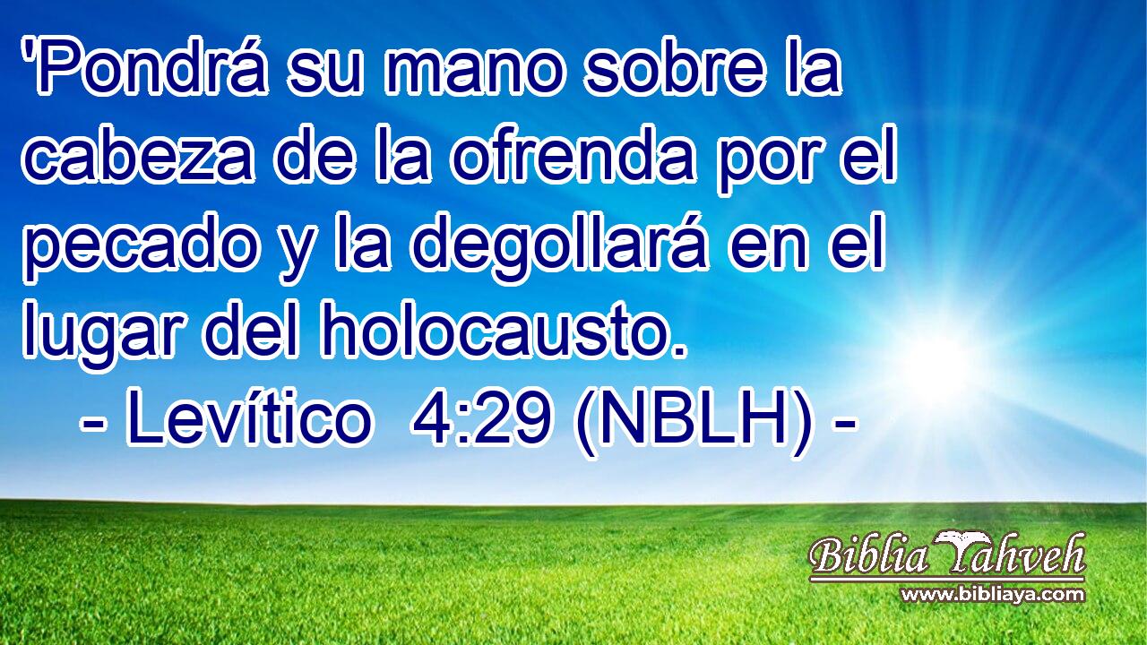  'Pondrá su mano sobre la cabeza de la ofrenda por el pecado y la degollará en el lugar del holocausto. 